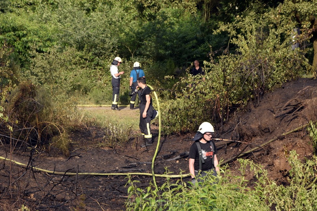 Waldbrand Koeln Hoehenhaus Hoehenfelder Mauspfad P134.JPG - Miklos Laubert